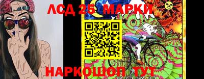 амф Гай