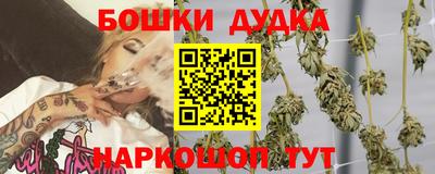 амф Гай